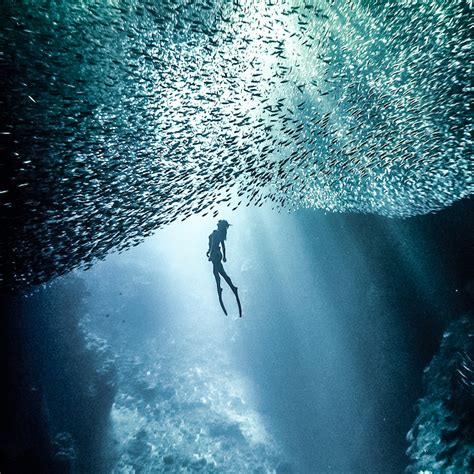 A Quest for Magic: Freediving in an Enchanted Island Lagoon